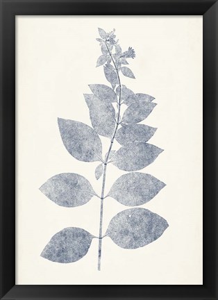 Framed Navy Botanicals IX Print