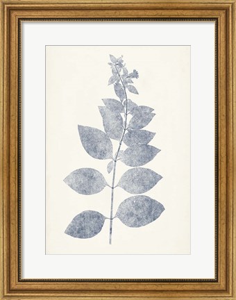 Framed Navy Botanicals IX Print