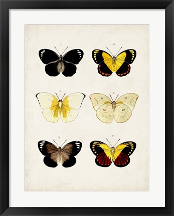 Framed Vintage Butterflies I Print