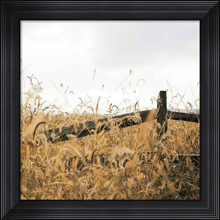 Framed Fencerow Light Crop Print
