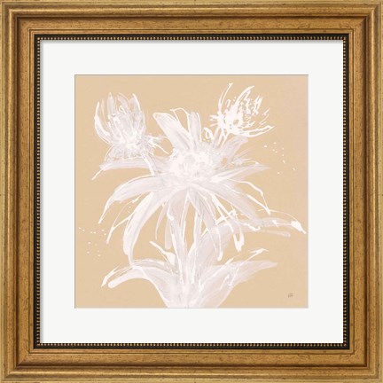 Framed Echinacea III Print