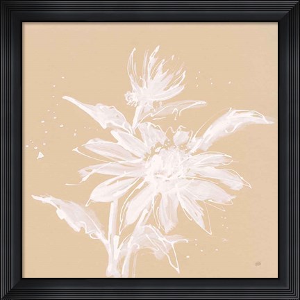 Framed Echinacea II Print