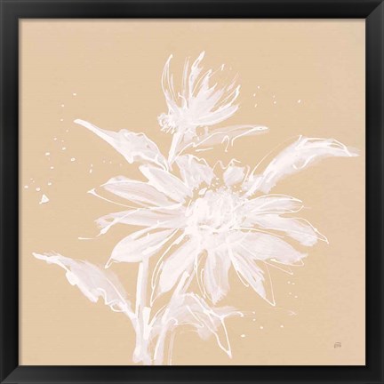 Framed Echinacea II Print