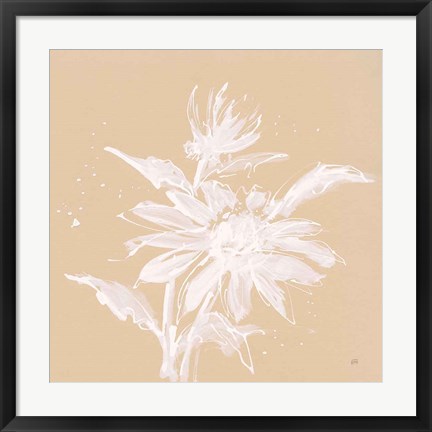 Framed Echinacea II Print