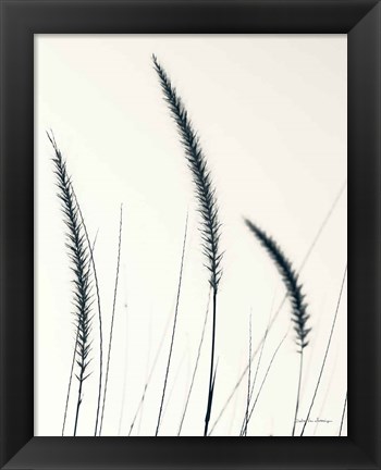 Framed Field Grasses IV BW Crop Print