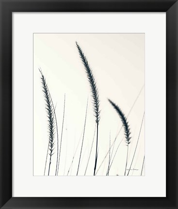 Framed Field Grasses IV BW Crop Print