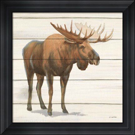 Framed Northern Wild VI Print