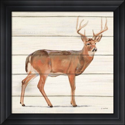 Framed Northern Wild V Print