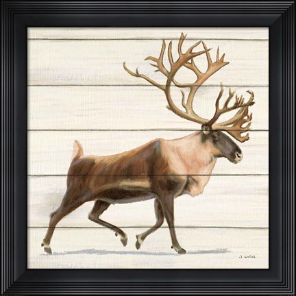 Framed Northern Wild IV Print