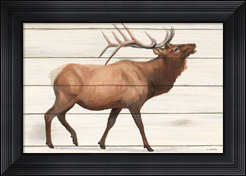 Framed Northern Wild III Print