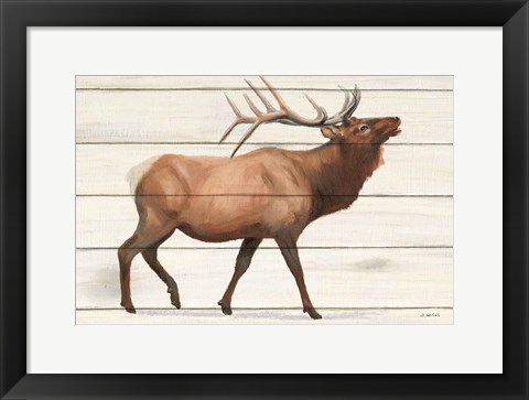 Framed Northern Wild III Print