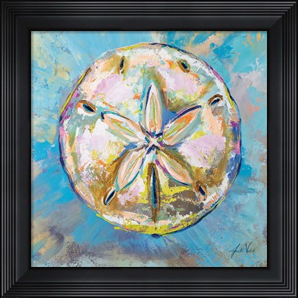 Framed Sand Dollar Print