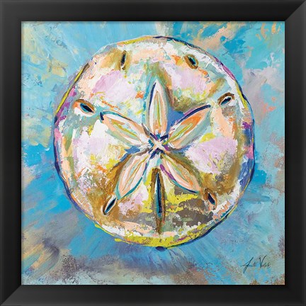 Framed Sand Dollar Print