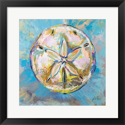 Framed Sand Dollar Print