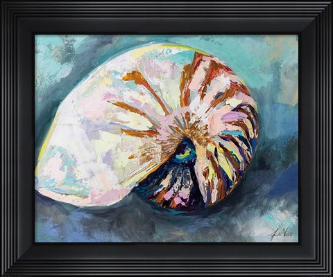 Framed Nautilus Shell Print
