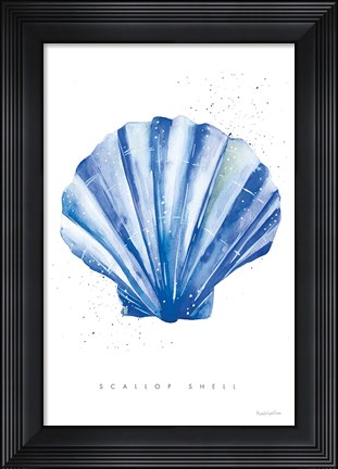 Framed Scallop Shell Print