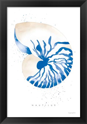 Framed Nautilus Print