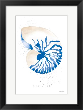 Framed Nautilus Print