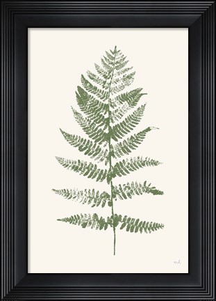 Framed Fern Print II White Crop Print