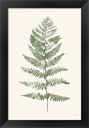 Framed Fern Print II White Crop Print