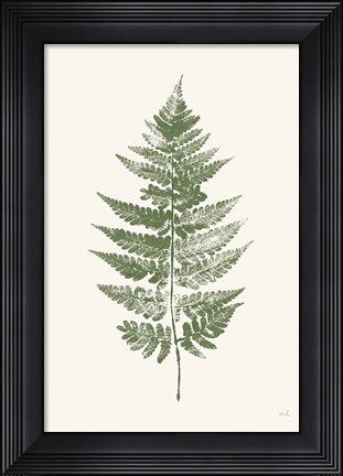 Framed Fern Print I White Crop Print