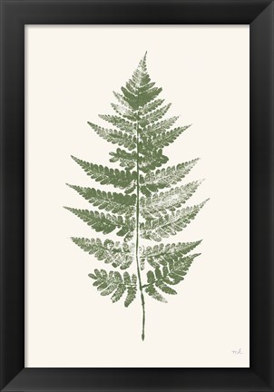 Framed Fern Print I White Crop Print