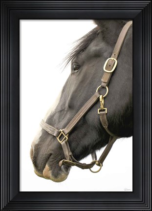 Framed In Halter Print