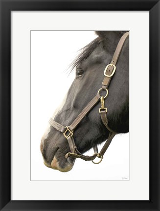 Framed In Halter Print