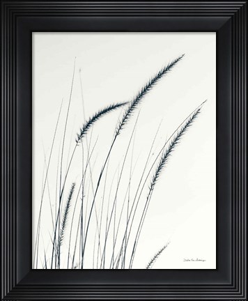 Framed Field Grasses III Crop Print