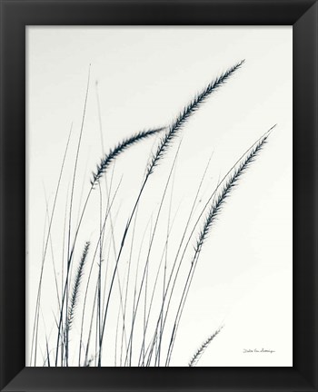 Framed Field Grasses III Crop Print