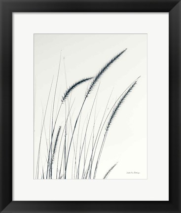 Framed Field Grasses III Crop Print