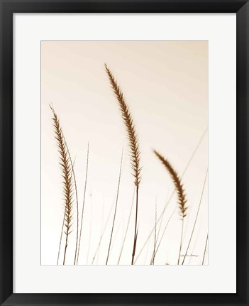 Framed Field Grasses IV Sepia Print