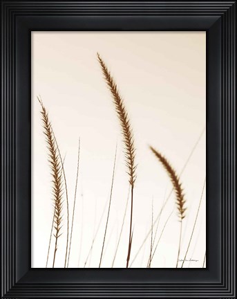 Framed Field Grasses IV Sepia Print