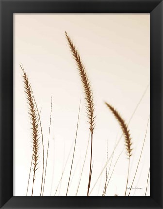 Framed Field Grasses IV Sepia Print