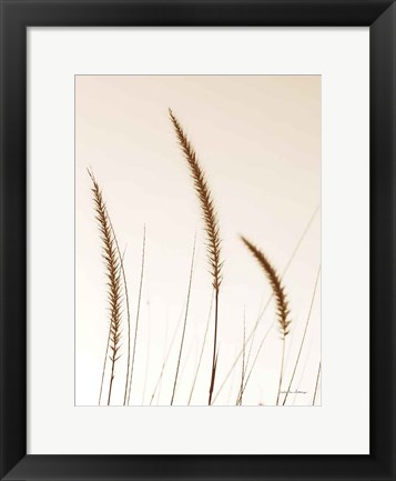 Framed Field Grasses IV Sepia Print