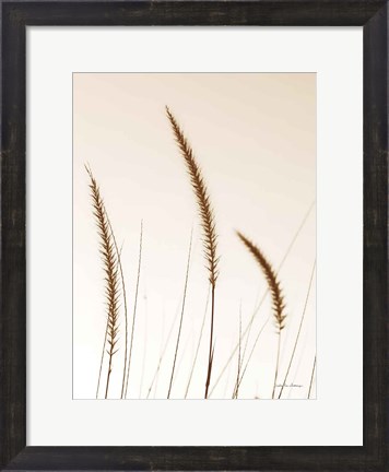 Framed Field Grasses IV Sepia Print