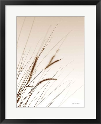 Framed Field Grasses I Sepia Print