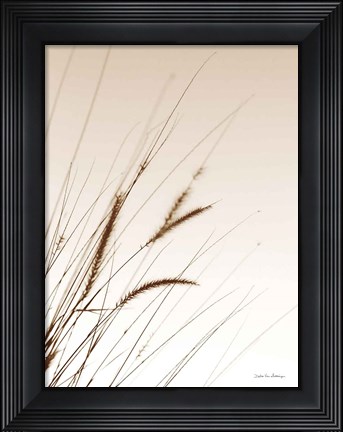 Framed Field Grasses I Sepia Print
