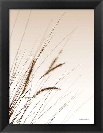 Framed Field Grasses I Sepia Print