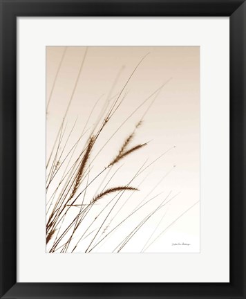 Framed Field Grasses I Sepia Print