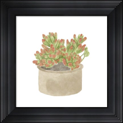 Framed Simple Succulent I Print