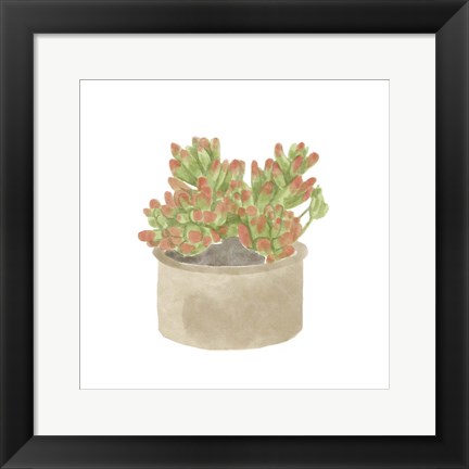 Framed Simple Succulent I Print