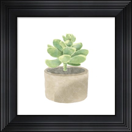 Framed Simple Succulent II Print
