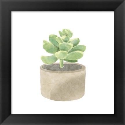 Framed Simple Succulent II Print