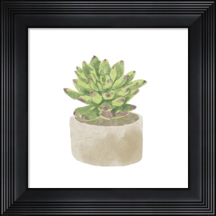 Framed Simple Succulent III Print