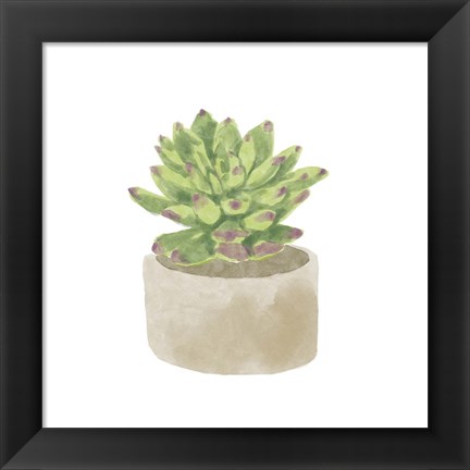 Framed Simple Succulent III Print