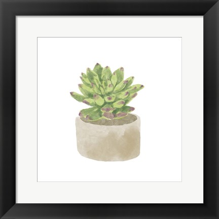 Framed Simple Succulent III Print