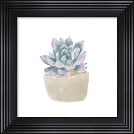 Framed Simple Succulent IV Print