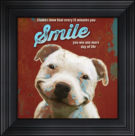 Framed Pet Sentiment I-Smile Print