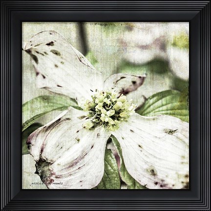 Framed Dogwood Floral Print